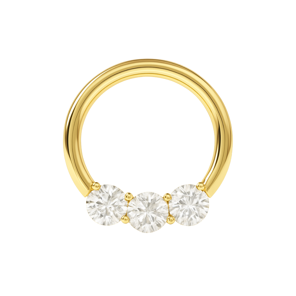 G23 Titanium Tri-Jewelled Hinged Segment Clicker Ring - Monster Piercing