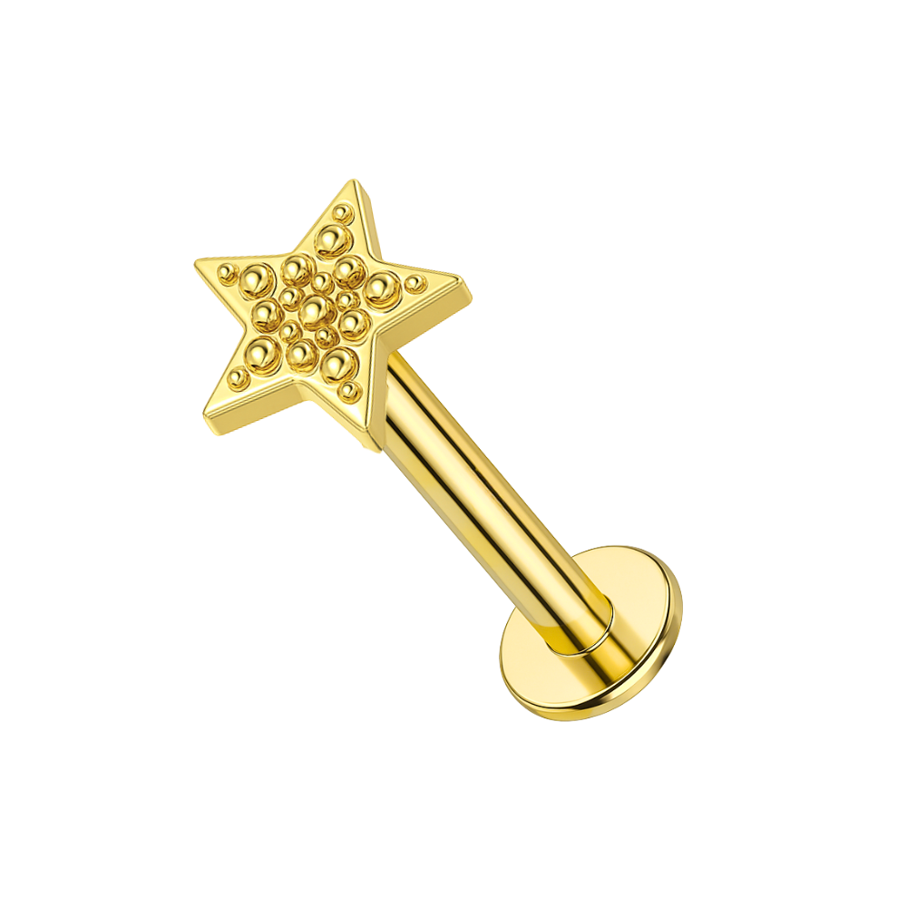 14K Gold Internally Threaded Star Screw Fit Stud