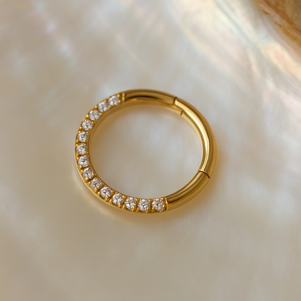 9K Gold Continuous Cubic Zirconia Hinged Segment Clicker Ring - Monster Piercing