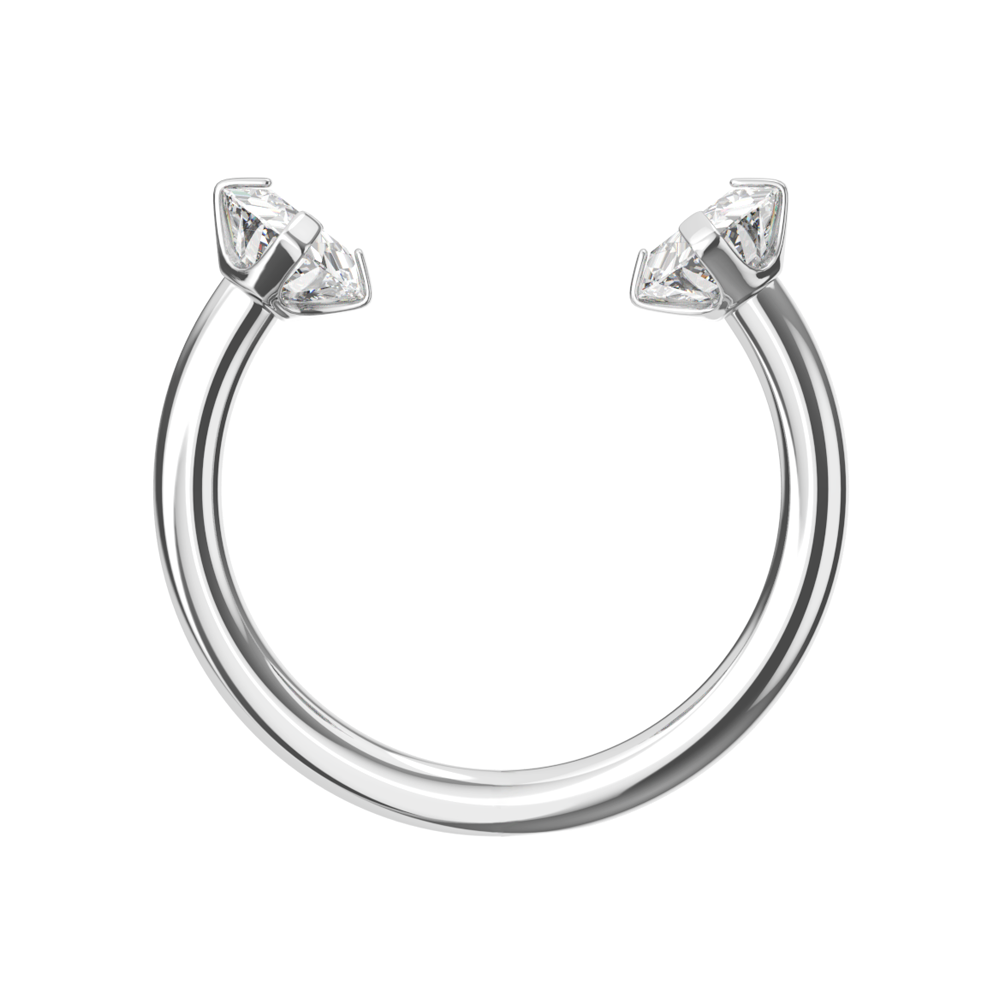 316L Surgical Steel Circular Barbell with Double Prong-Set CZ Gems - Monster Piercing