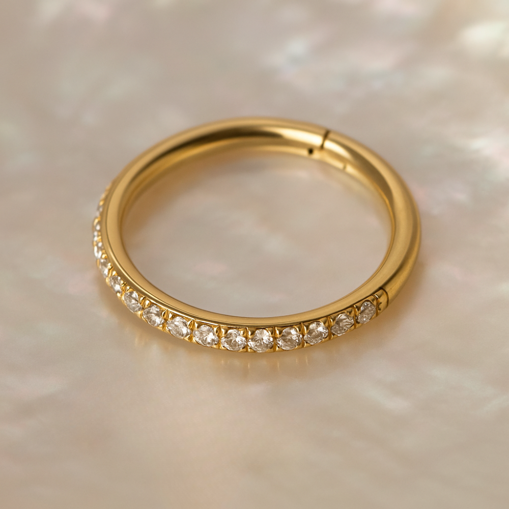 9K Gold Continuous Cubic Zirconia Hinged Segment Clicker Ring - Monster Piercing