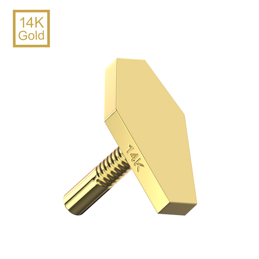 14K Gold Internal Thread Plain Tiny Coffin Top - Monster Piercing