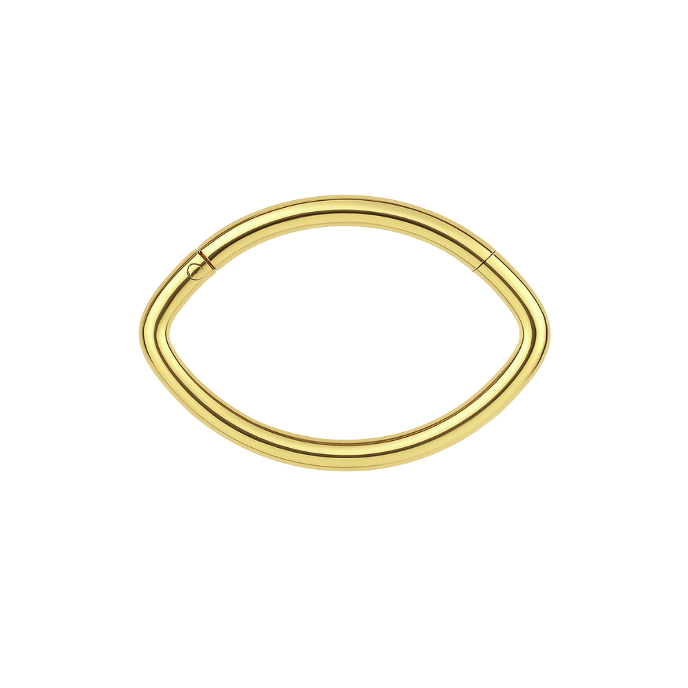 316L Surgical Steel Oval Shape Classic Hinged Segment Clicker Ring - Monster Piercing