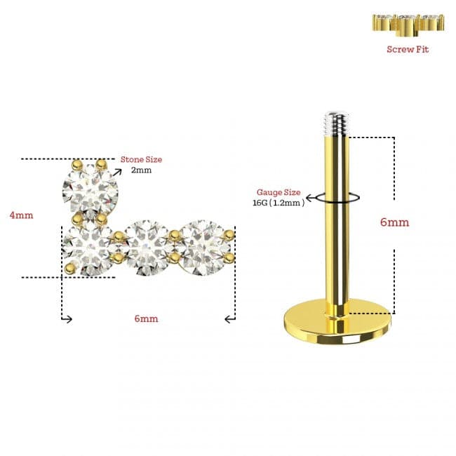 316L Surgical Steel CZ Studded Tick Cartilage Ear Stud - Monster Piercing